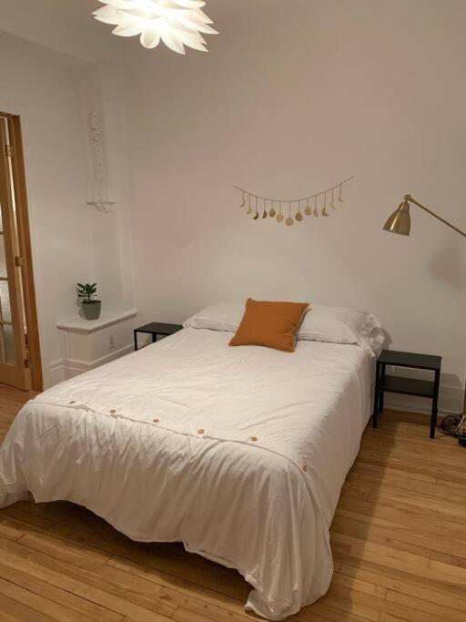 Appartement Big 3br At Olympic Stadium At Pie-ix Metro Station